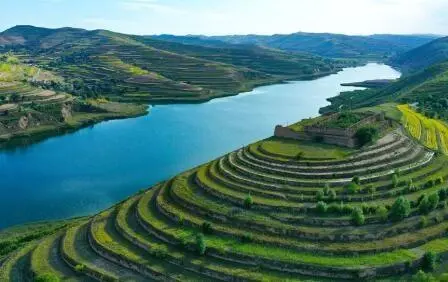重點(diǎn)行業(yè)VOCs治理“一企一策”！寧夏空氣質(zhì)量持續(xù)改善行動(dòng)實(shí)施方案公開征求意見
