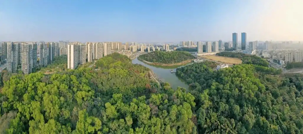 “三進(jìn)三同”攜手共進(jìn)，江門(mén)站助力區(qū)縣監(jiān)測(cè)見(jiàn)成效