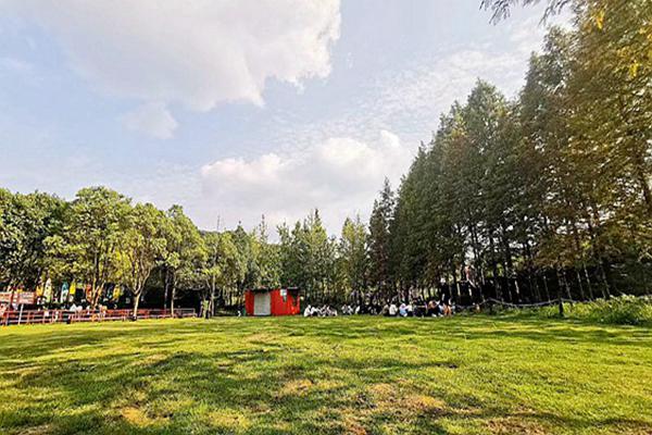 大連金普新區(qū)出重拳治揚塵 全力守護(hù)“清新藍(lán)”