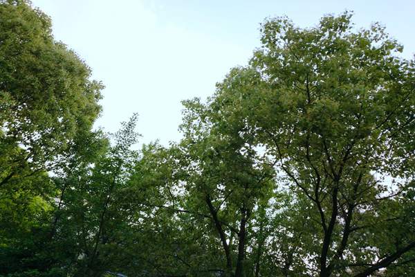 《汕尾市空氣質量持續(xù)改善行動方案》印發(fā)