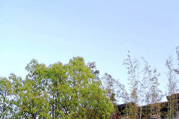 廢氣治理＋綠色運輸！安徽省第三生態(tài)環(huán)境保護督察組調研阜陽空氣質量提升攻堅 