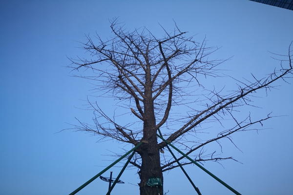 提“氣”質丨打造2.0版本，實現“大數據”精準治污