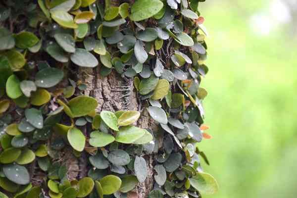 全國已建成“兩級、三類、一清單”的生態(tài)環(huán)境分區(qū)管控體系 