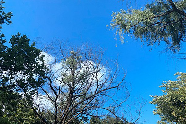 烏魯木齊道路積塵治理有妙招：動態(tài)監(jiān)測 聯(lián)合督導(dǎo)，助力空氣質(zhì)量改善