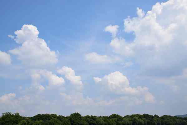 精準“削峰”戰(zhàn)臭氧，全力守護“瓷都藍”